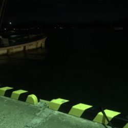 ナイトフラット