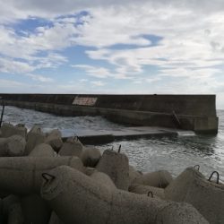 ロックフィッシュゲーム