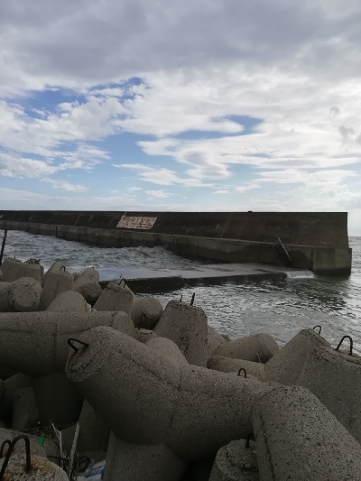 ロックフィッシュゲーム