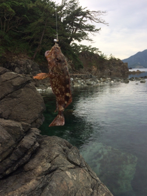 豆アジと根魚開幕！