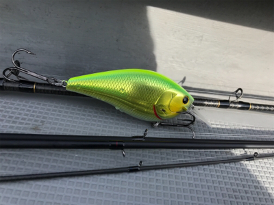 琵琶湖 大橋マリーナ発