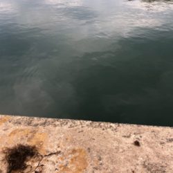 アジング再挑戦