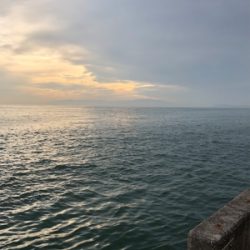 五目釣りしました