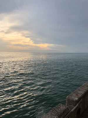 五目釣りしました