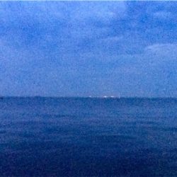 回遊開始のお知らせです