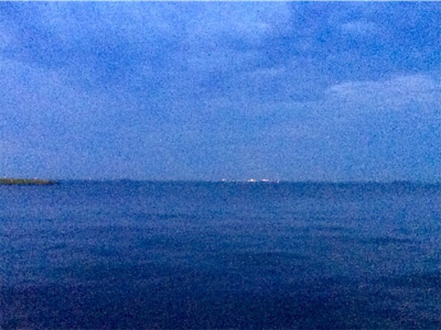 回遊開始のお知らせです