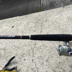 暑かった〜‼︎