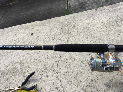 暑かった〜‼︎