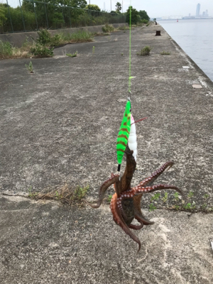 アタリは、頻繁‼︎