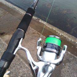 キスが釣れました