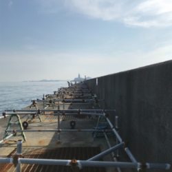 暑さに負けずに！