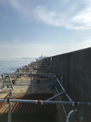 暑さに負けずに！