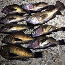 メバリングナイトゲーム☆GUNNING-STYLE