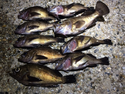 メバリングナイトゲーム☆GUNNING-STYLE