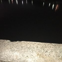 ナイトアジング