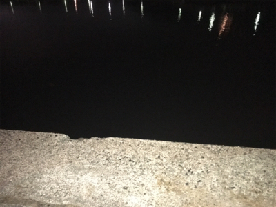 ナイトアジング