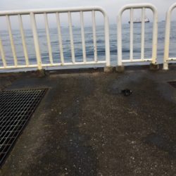 熱中症注意！！