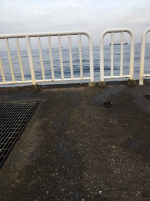 熱中症注意！！