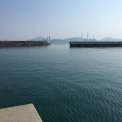 ジグでソウダガツオ！