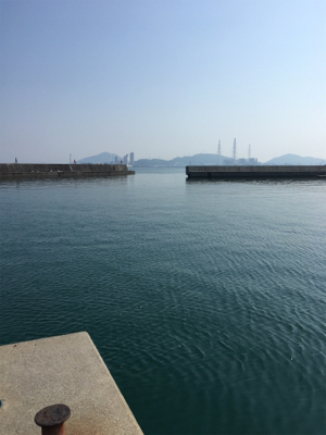 ジグでソウダガツオ！