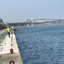 暑さに負けた！