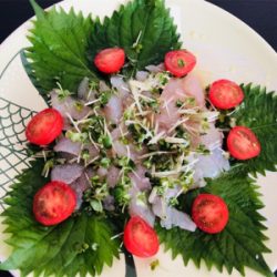 炎天下の下で鯛最高♪♪♪