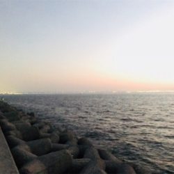 なかなかよい型のアコウ