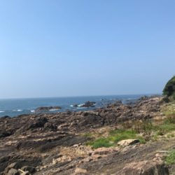 ガシラばっかり。