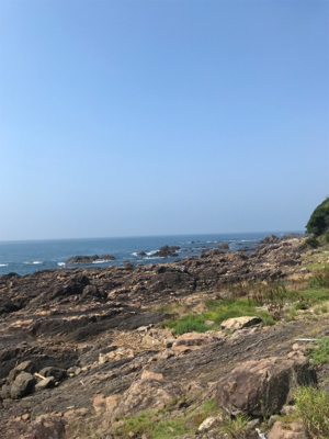 ガシラばっかり。