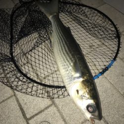 マルチゲーム（五目  笑）