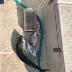 炎天下のマイボート 釣行