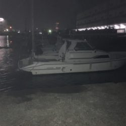 娘とメバリングデート