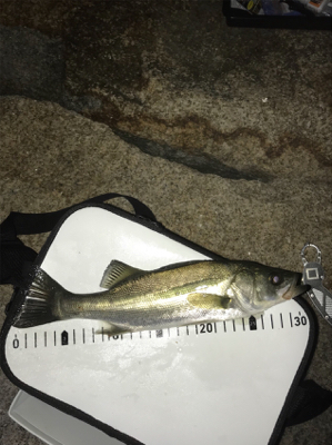 金土日月連続釣行