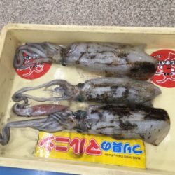 キロに届かず