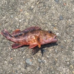 暑かったけど楽しかったです