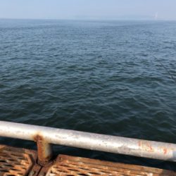 熱中症もなんのその…ショアジギング