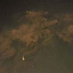 笠戸島でエギング&アジング