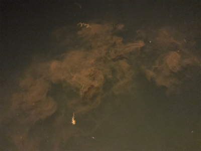 笠戸島でエギング&アジング