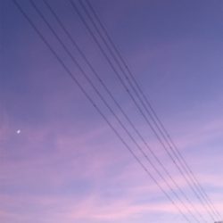 濁り、関係なし