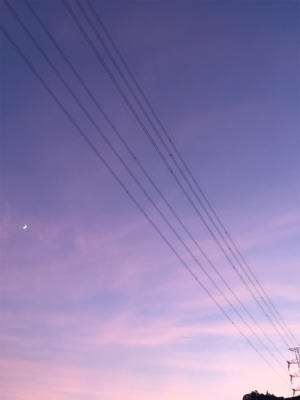 濁り、関係なし