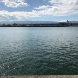 チヌさん留守かな？