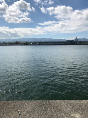 チヌさん留守かな？