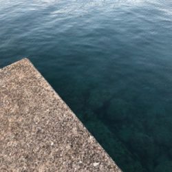 仕事終わりのアジング釣行