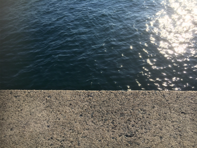 ガッシーゲーム