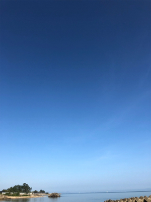 ちょい投げと泳がせ釣り