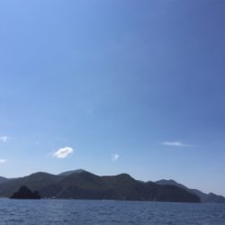 久々にヒラマサ！