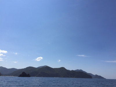 久々にヒラマサ！