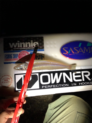 未だに大キス狙い