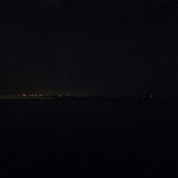 アジングのち大物1人