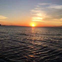 ジグサビキ&フロートアジング